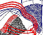 Dorsal Spinocerebellar Tract